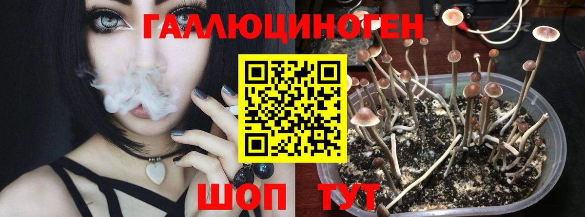 Псилоцибиновые грибы MAGIC MUSHROOMS  Галлюциногенные грибы Psilocybine cubensis  Вход с VPN  Бугульма 